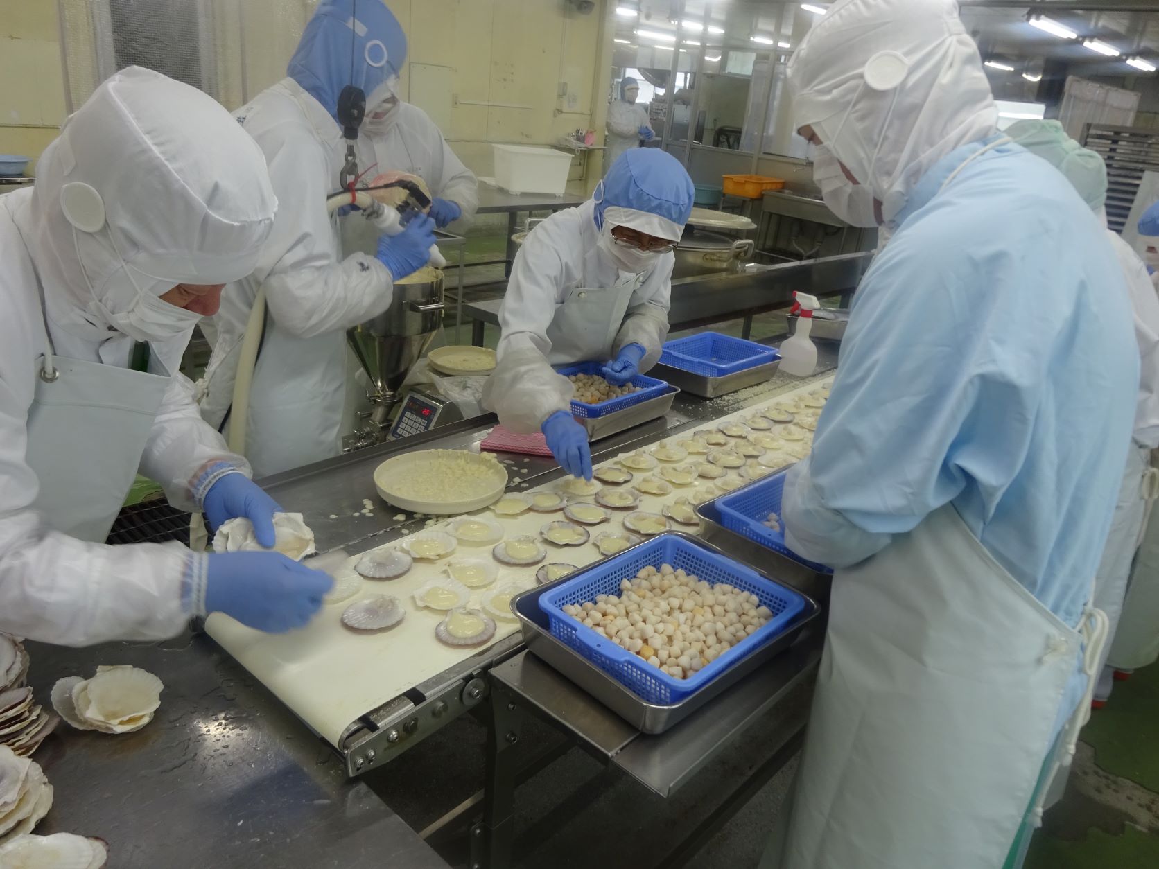 就労継続支援A型